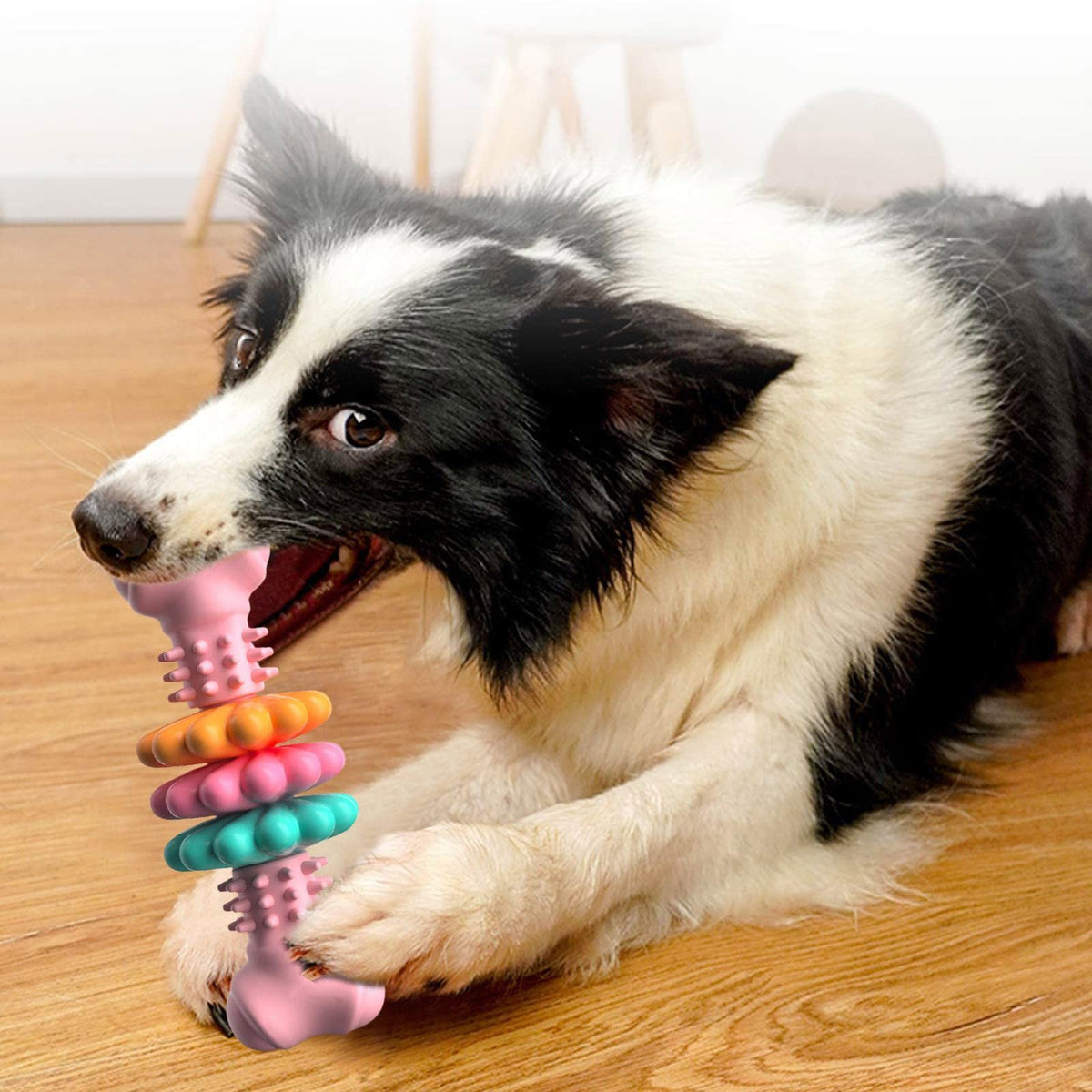 Dog Chew Toy Dog Bone Type Dogs Teeth Cleaning Toys Indestructible TPR Bone Chewing Bite Resistant Teething Toys Pet Products - SmartPaws
