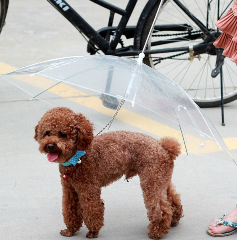 Premium Dog Umbrella - SmartPaws