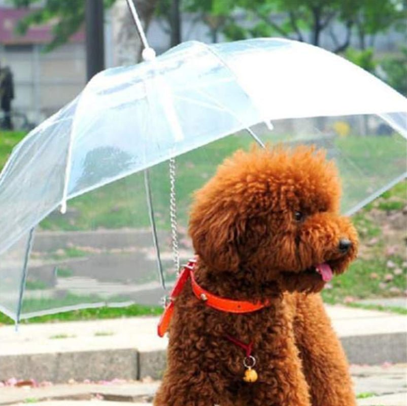 Premium Dog Umbrella - SmartPaws