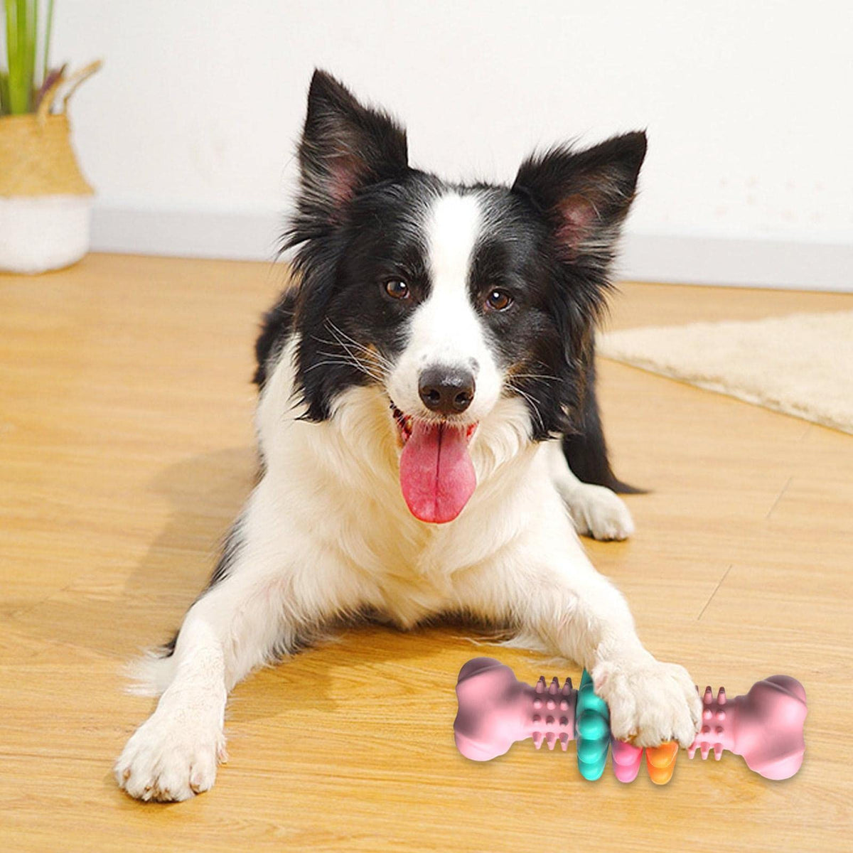Dog Chew Toy Dog Bone Type Dogs Teeth Cleaning Toys Indestructible TPR Bone Chewing Bite Resistant Teething Toys Pet Products - SmartPaws