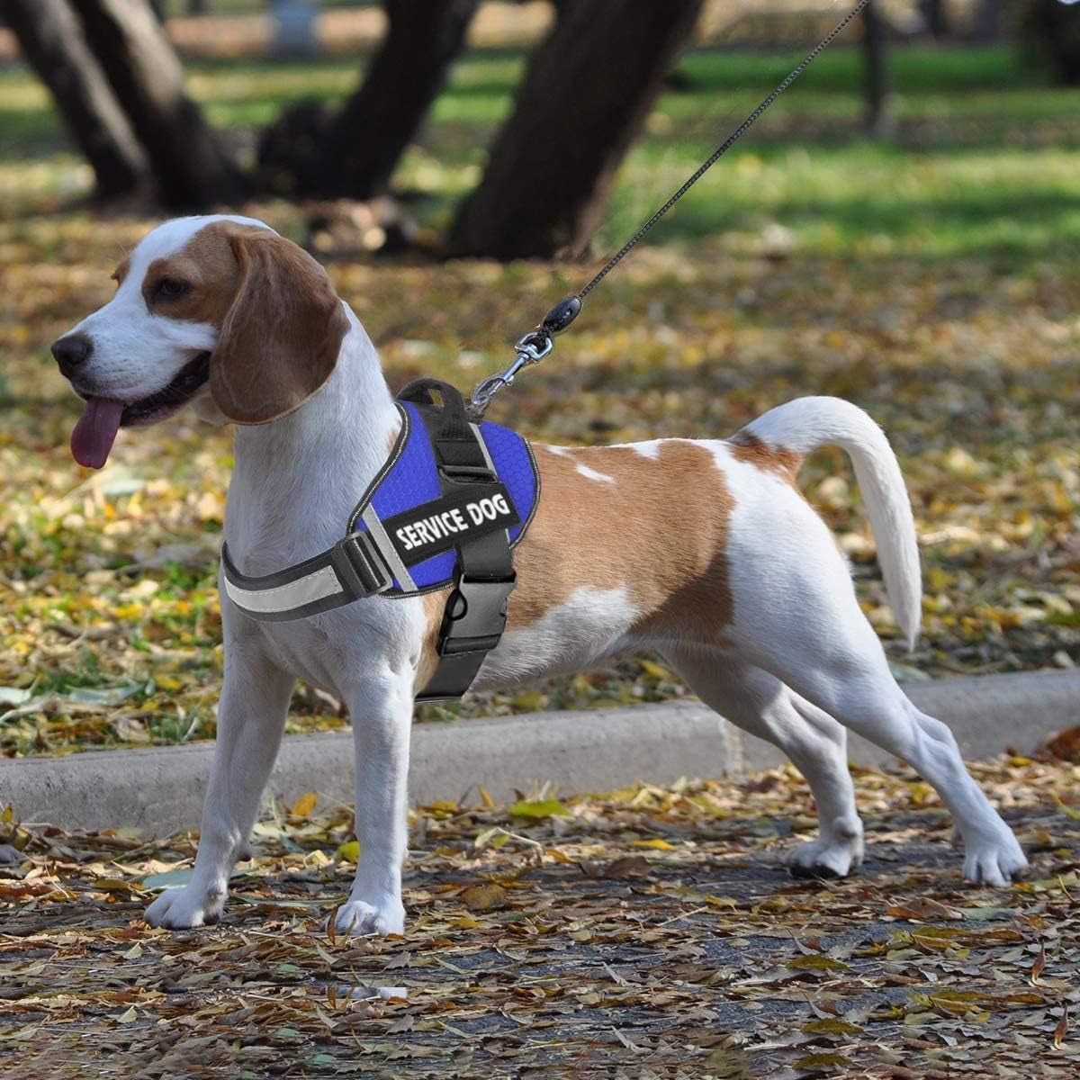 No-Pull Dog Harness with handle and reflective nylon material for large dogs