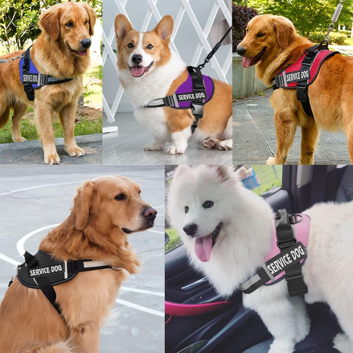 No-Pull Dog Harness with handle and reflective nylon material for large dogs