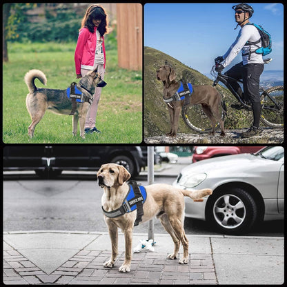 Dog Harness,No-Pull Service Dog Harness with Handle Adjustable Outdoor Pet Dog Vest 3M Reflective Nylon Material Vest for Breeds,Easy Control for Small Medium Large Dogs - SmartPaws
