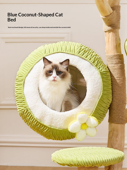 Natural Fruitwood Tree Hollow Cat Climbing Frame Cat Tree - SmartPaws