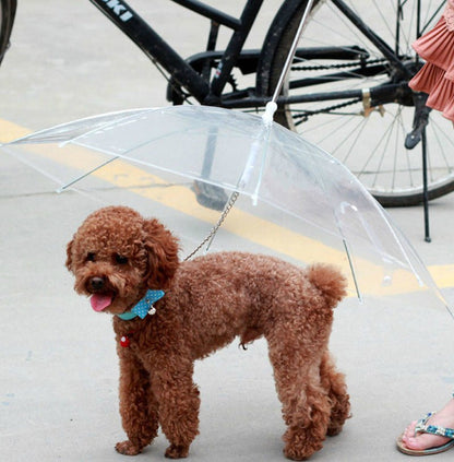 Premium Dog Umbrella - SmartPaws